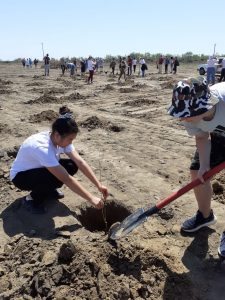 Астраханские патриоты приняли участие в акции "Посади лес"